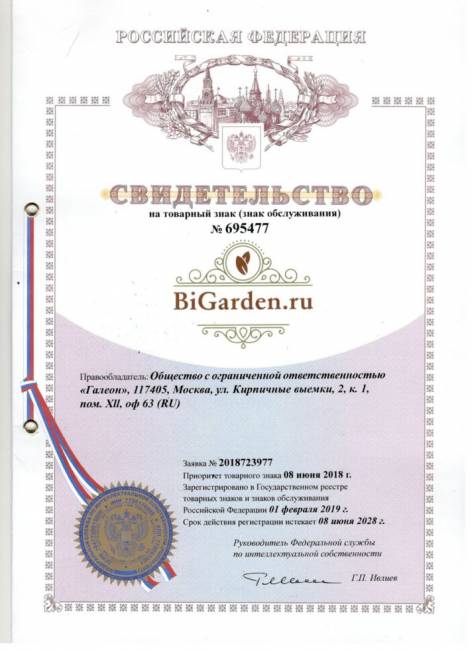 Двойное подвесное кресло "Gemini" promo black Красная подушка